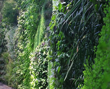 Pacific Landscape Aquatic Ecosystems, Lagos, Ecosistemas, Cascadas, Iluminación Exterior, Jardín Vertical