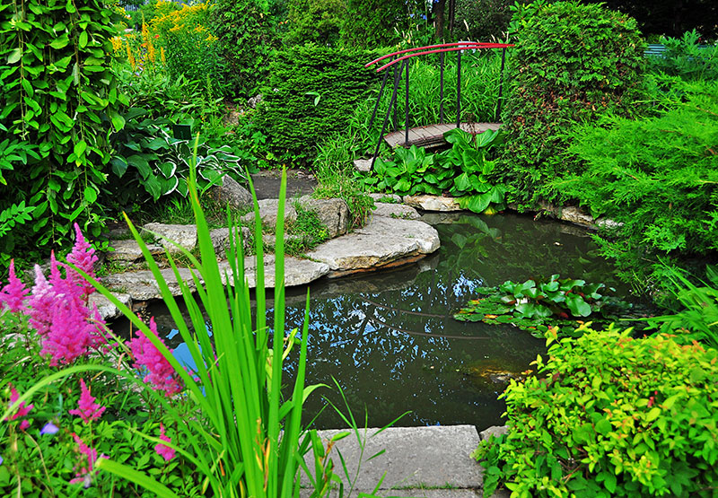 Pacific Landscape Aquatic Ecosystems, Lagos, Ecosistemas, Cascadas, Iluminación Exterior, Jardín Vertical