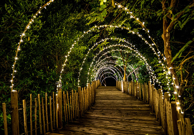 Pacific Landscape Aquatic Ecosystems, Lagos, Ecosistemas, Cascadas, Iluminación Exterior, Jardín Vertical