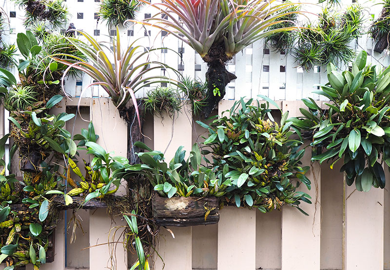 Pacific Landscape Aquatic Ecosystems, Lagos, Ecosistemas, Cascadas, Iluminación Exterior, Jardín Vertical