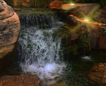 Pacific Landscape Aquatic Ecosystems, Irrigation Systems, Waterfalls and Natural Lakes, LED Outdoor Lighting, Vertical Gardens