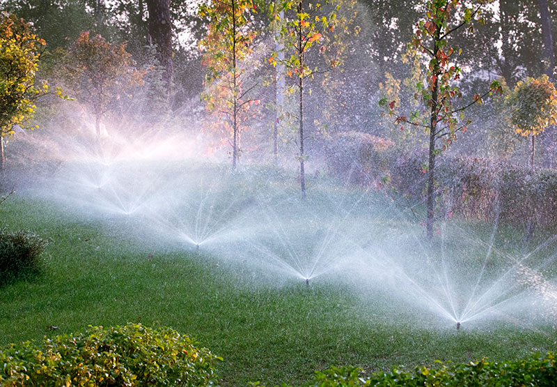 Pacific Landscape Aquatic Ecosystems, Irrigation Systems, Waterfalls and Natural Lakes, LED Outdoor Lighting, Vertical Gardens