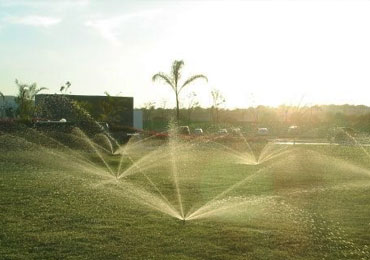 Pacific Landscape Aquatic Ecosystems, Irrigation Systems, Waterfalls and Natural Lakes, LED Outdoor Lighting, Vertical Gardens